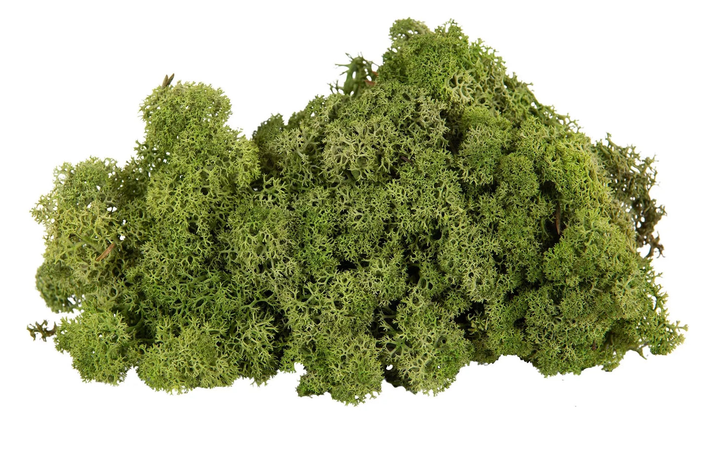 Jul div. Mos Hvidmos Flammefast Grøn 500g