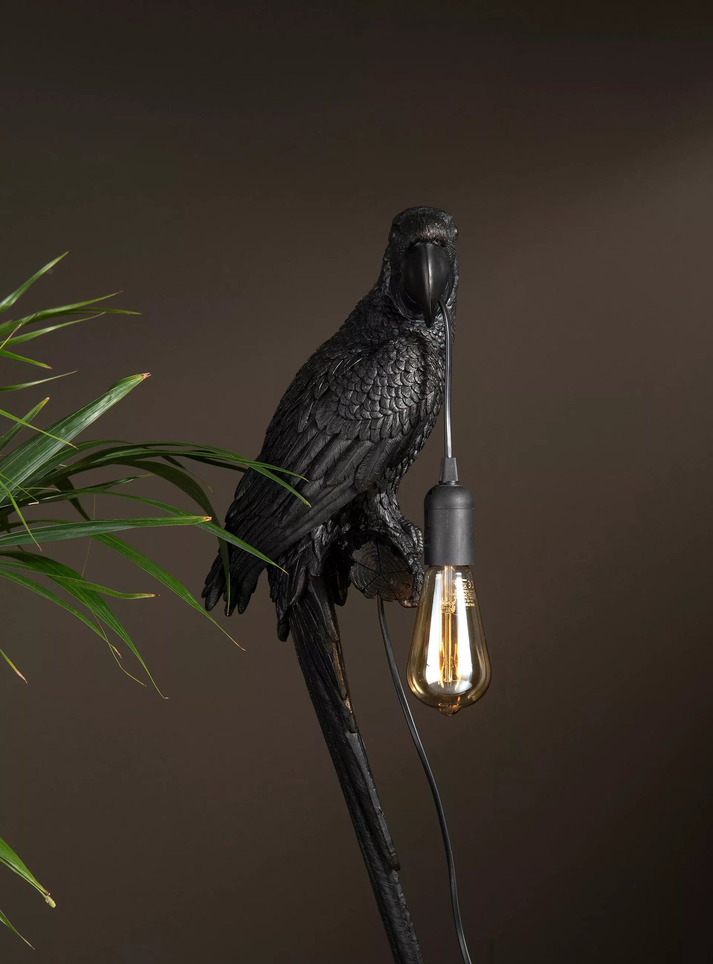 Væglampe Papegøje Brun Sort Poly På lager igen: Feb 2026