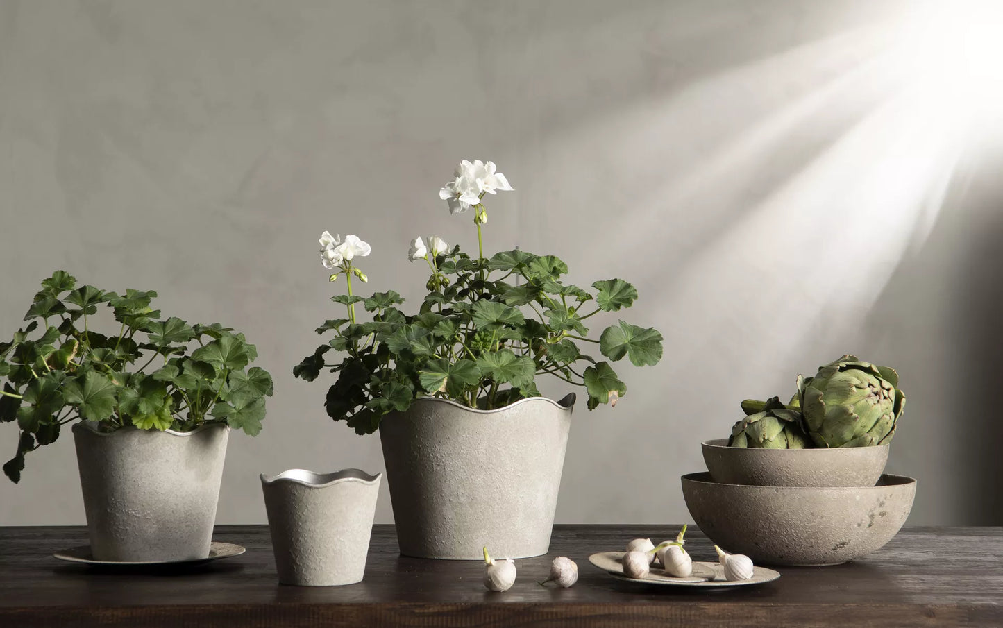 Skjuler Hård plast Grå Fad Rondo 17x1,5cm