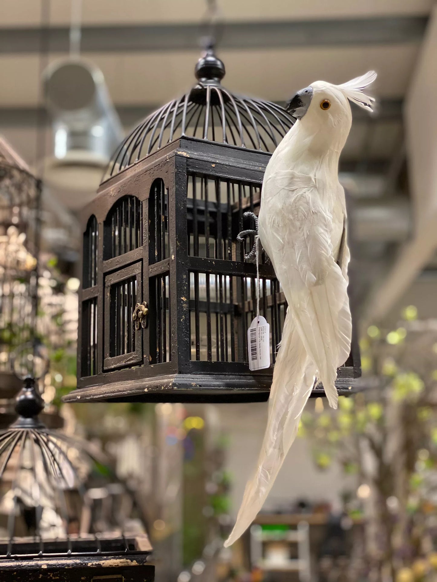 Dekoration Papegøje Hvid Side 50cm