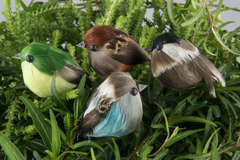 Dekoration Fugledekoration stick mix 5cm 4-pak