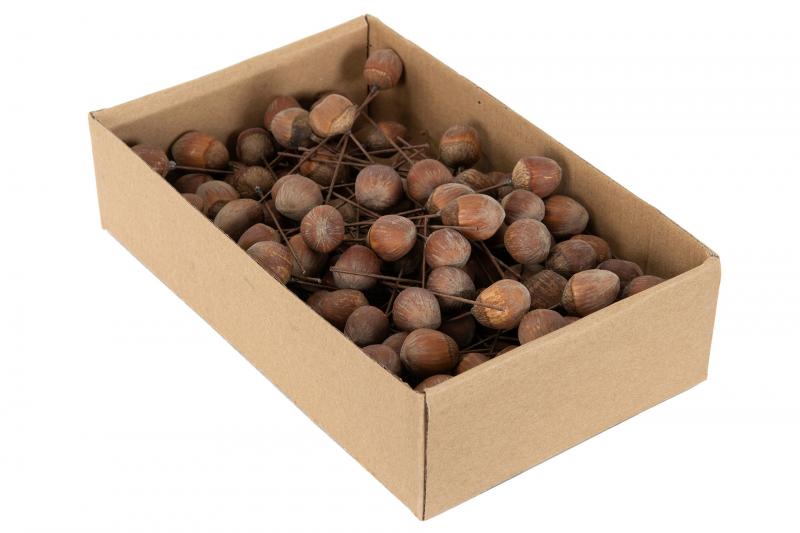 Pynt Hasselnødde tråd Naturlig 2cm 25-pak