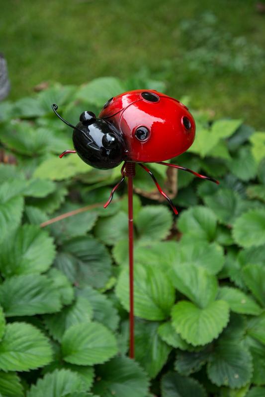 Havedekoration Have stick Mariehøne Metall 15/70cm 3-pack