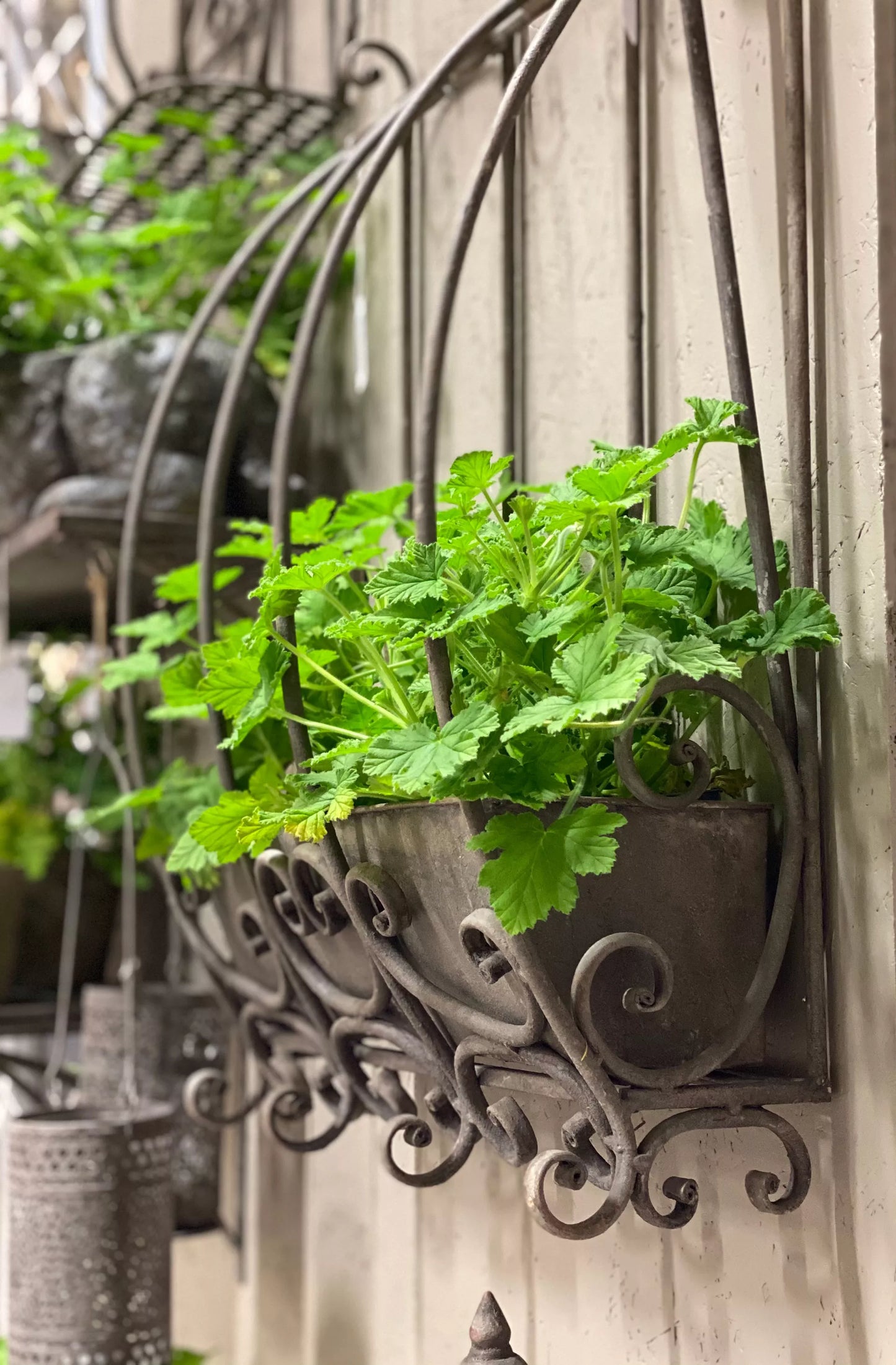 Skjuler Urtepotte Blomsterkrukke Blomsterkasse til væg 66x43 cm