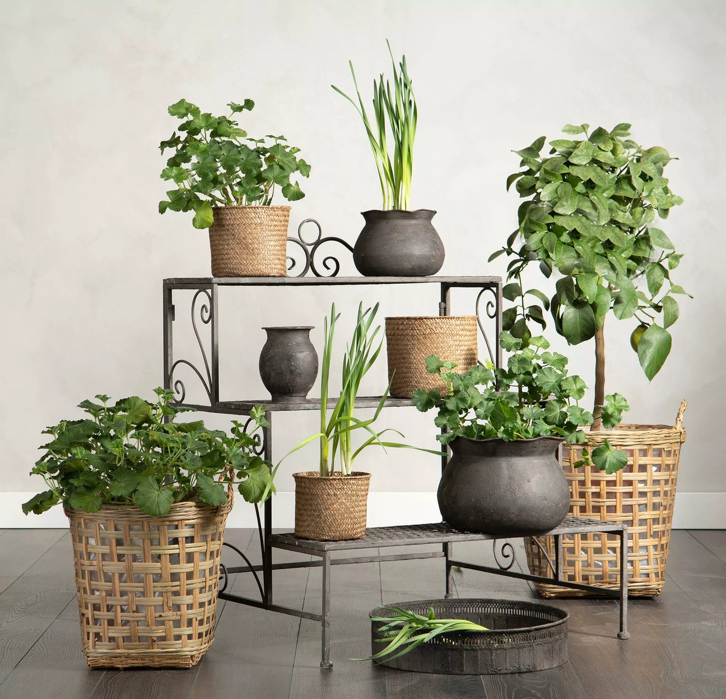 Væghylde Hyldeplantning Foldbart Metal