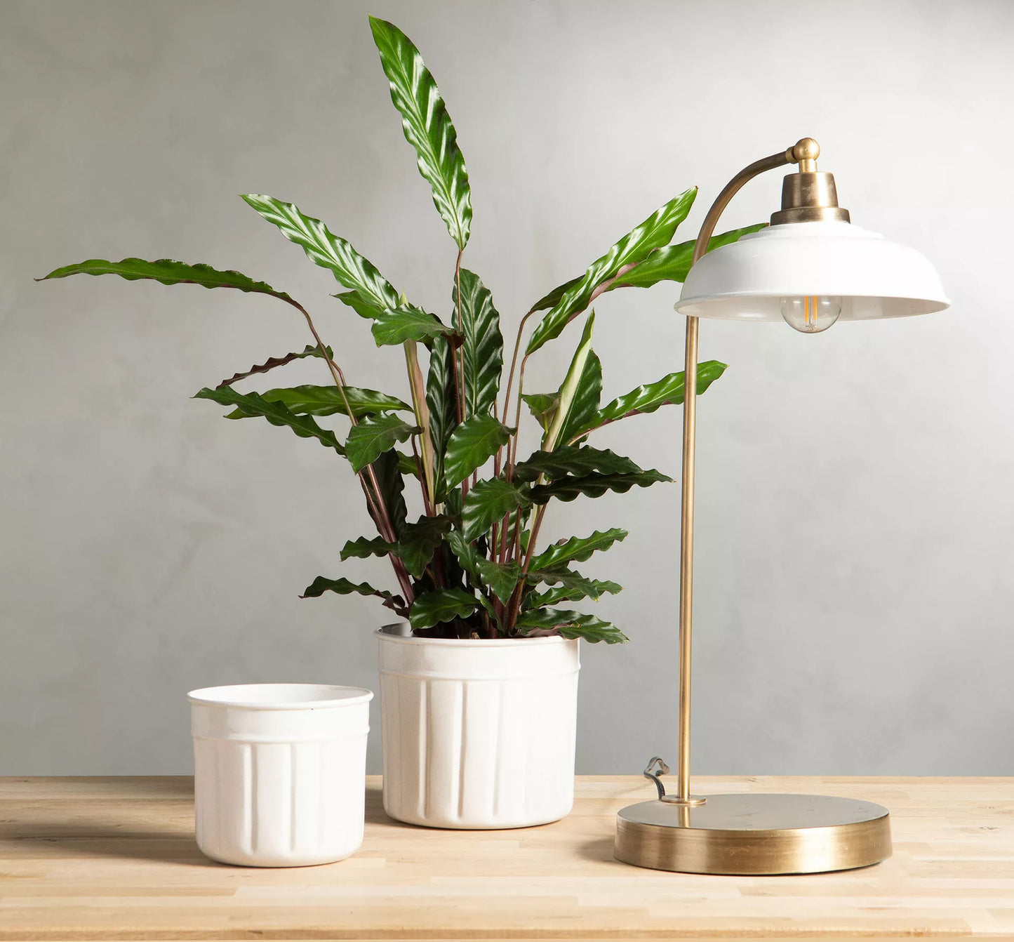 Bordlampe Noa Emalje Skal 30x52cm