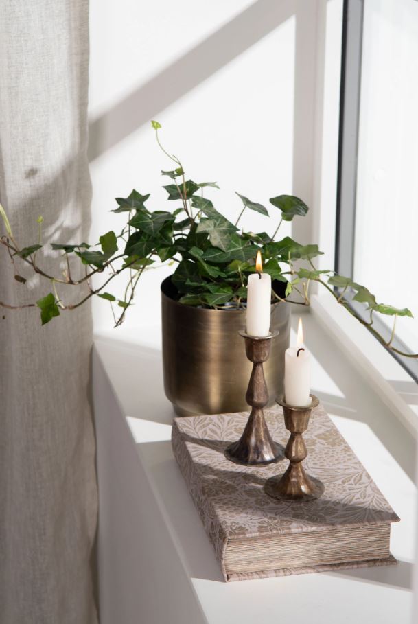 Dekoration Bogæske Vindrueklase 2-pak 6x5x26 cm