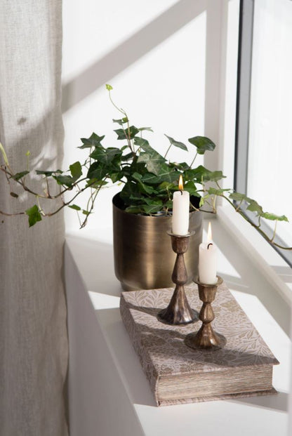 Dekoration Bogæske Vindrueklase 2-pak 6x5x26 cm