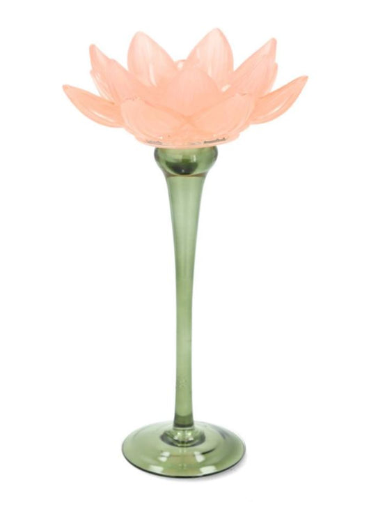 Lyslygte vandnymfe 25 cm