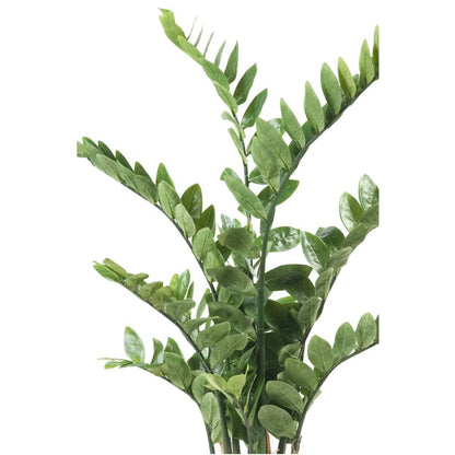 Kunstig zamioculcas i grøn 110 cm 11.662C