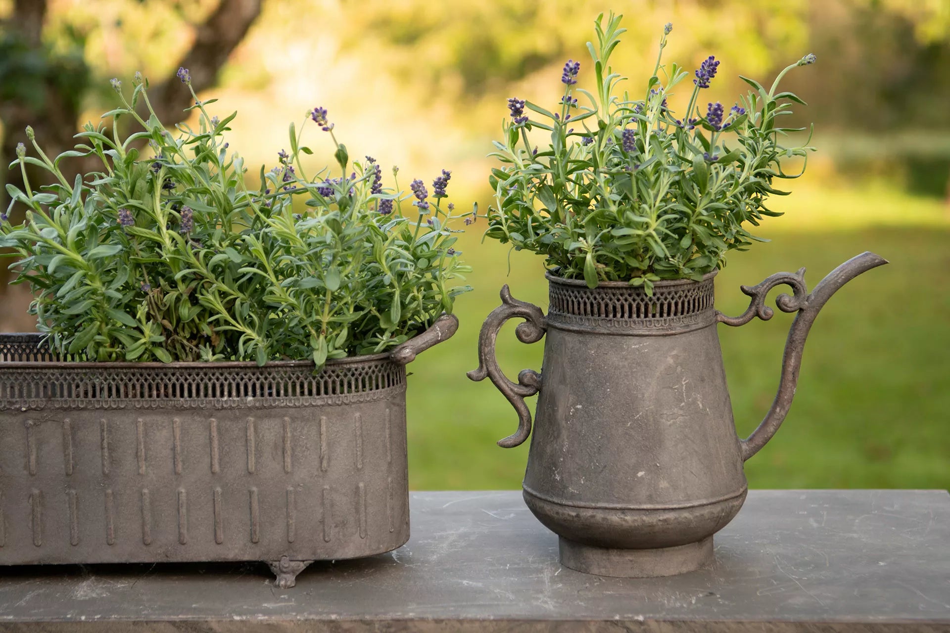 Dekorativ Kanna Lea Metall 30x25cm    I lager: Vecka  9