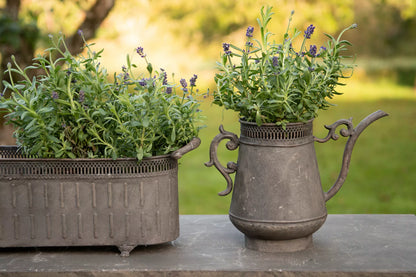 Dekorativ Kanna Lea Metall 30x25cm    I lager: Vecka  9